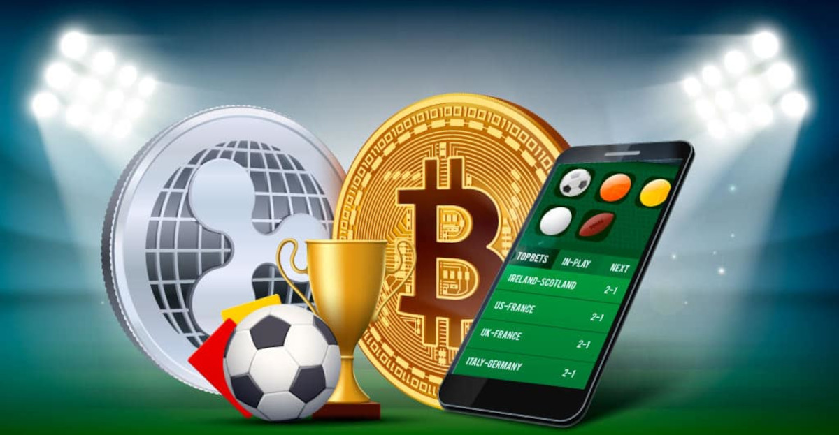 The Ultimate Guide to db bet Your Portal to Successful Online Betting