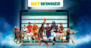 BetWinner Mobile App
